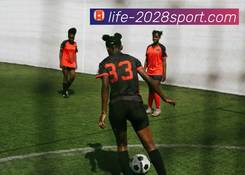 2028体育官网平台生态图